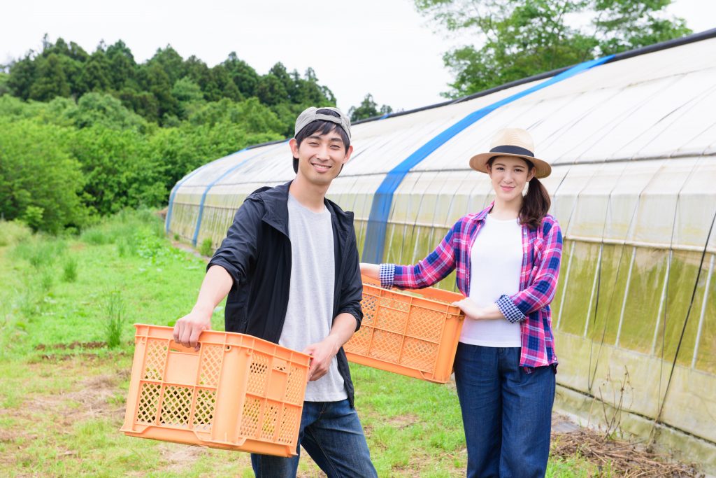 農産物の配達なら名古屋のアグリカーゴ